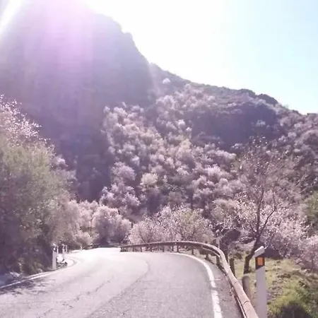 Cascaras Gran Canaria Holiday home *